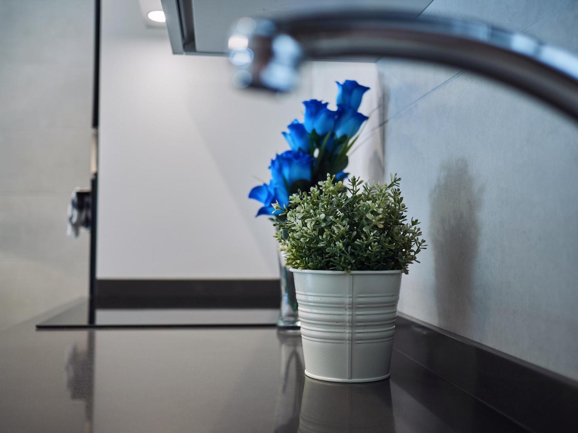 Amara Prime San Sebastian Apartment Екстериор снимка